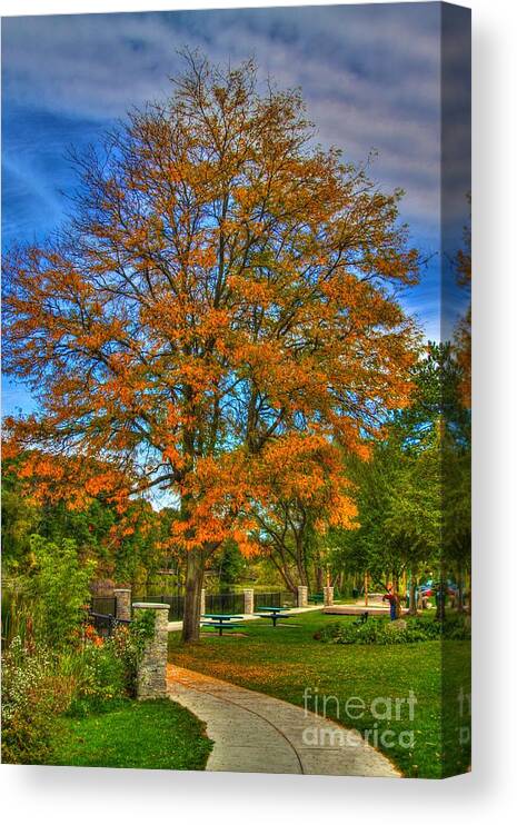 Related Tags: Canvas Print featuring the photograph Fall on the walk by Robert Pearson