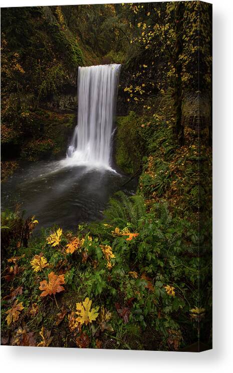 Fall Canvas Print featuring the photograph Fallen by Ryan Smith