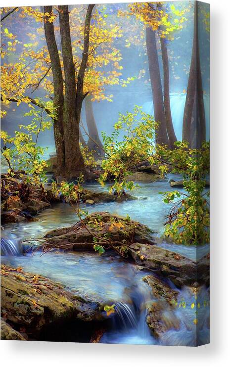Landscape Canvas Print featuring the photograph Autumn Dreamscape by Harriet Feagin