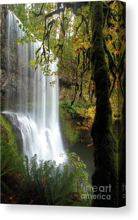 Silver Falls State Park Canvas Print featuring the photograph Falls Though The Trees by Adam Jewell