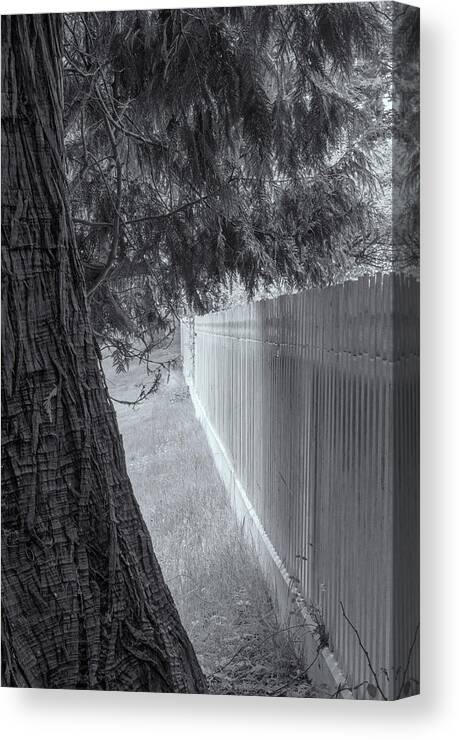 Oregon Coast Canvas Print featuring the photograph Fence In Black And White by Tom Singleton