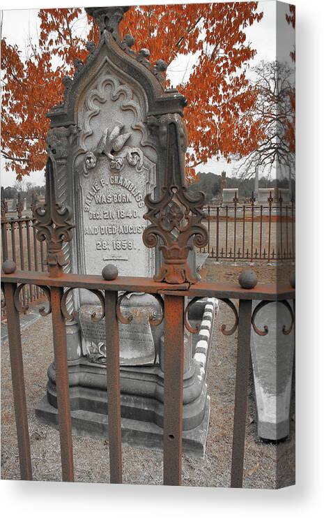 Stone Canvas Print featuring the photograph Fencing the Stone by Greg Sharpe