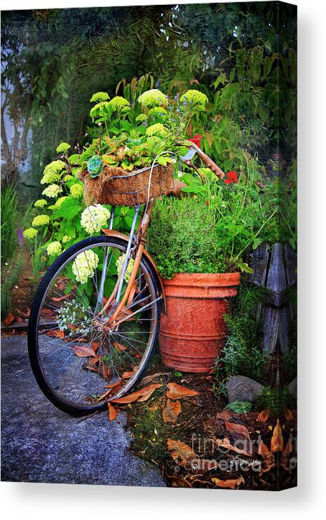 American Canvas Print featuring the photograph Fern Dale Flower Bicycle by Craig J Satterlee