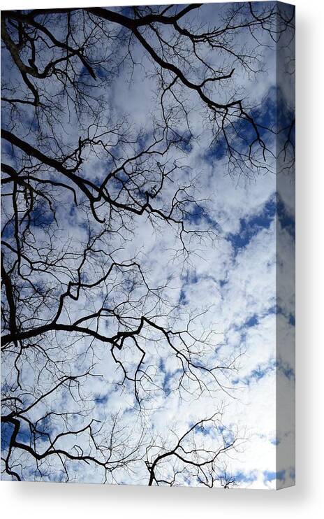 Sky Canvas Print featuring the photograph Fingers in the sky by Stacie Siemsen