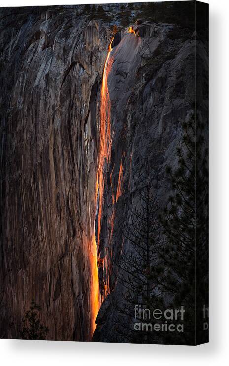 Yosemite Canvas Print featuring the photograph Fire Fall by Anthony Michael Bonafede