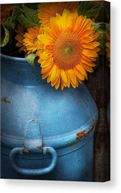 Sunflowers Canvas Print featuring the photograph Flower - Sunflower - Little blue sunshine by Mike Savad