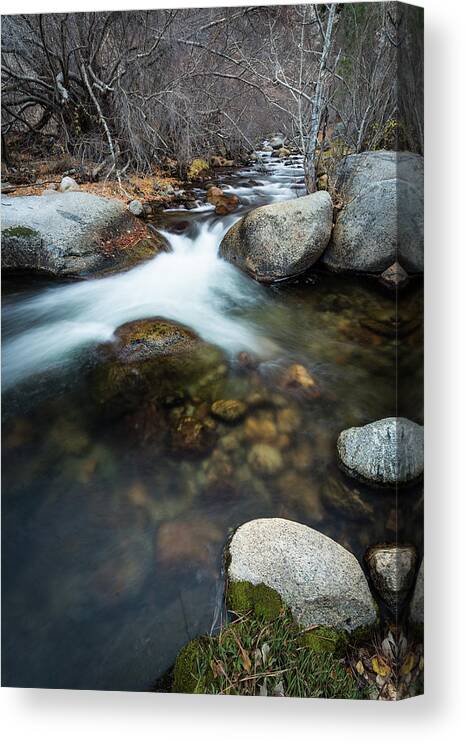 Stream Canvas Print featuring the photograph Flowing Between Boulders by Rick Strobaugh