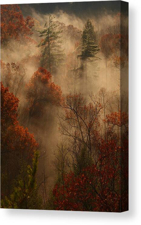 Fog Canvas Print featuring the photograph Fog in the valley by Ulrich Burkhalter