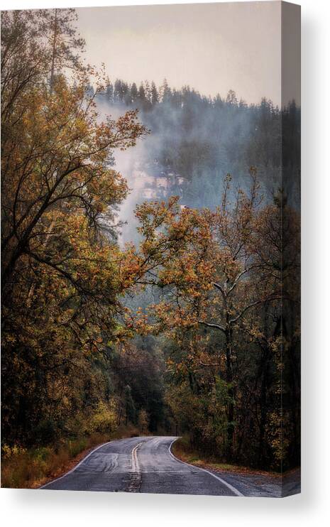 Fall Canvas Print featuring the photograph Foggy Autumn Road by Saija Lehtonen