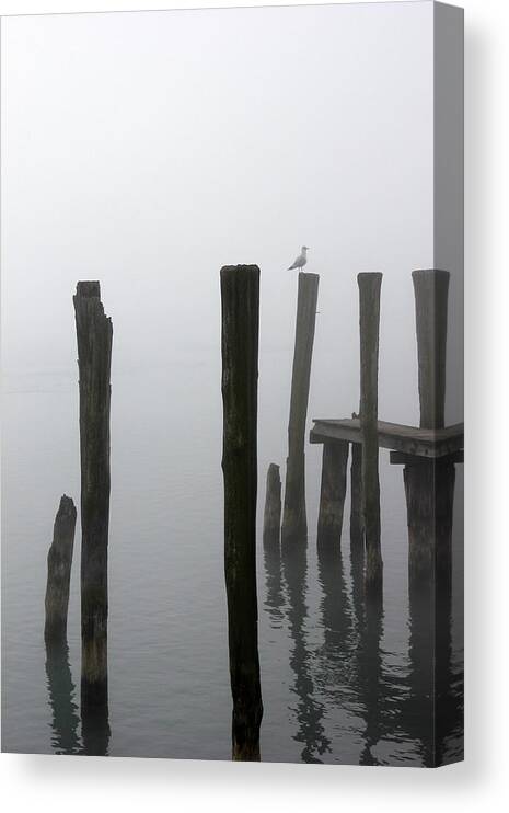 Pilings Canvas Print featuring the photograph Foggy Dock with Gull 53 by Mary Bedy