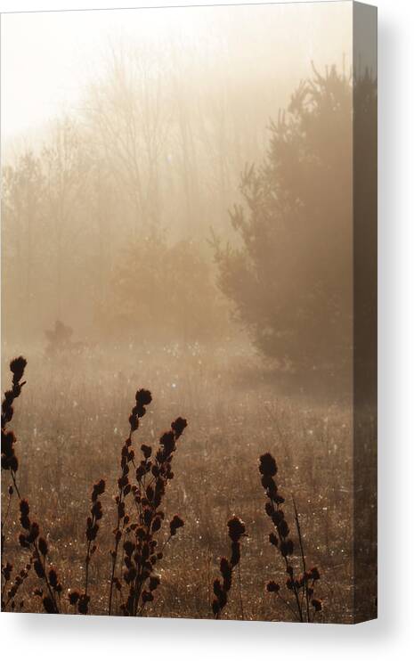 Hovind Canvas Print featuring the photograph Foggy Meadow by Scott Hovind