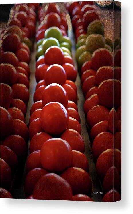 Tomatoes Canvas Print featuring the photograph Food Tomatoes Marching Maters by Lesa Fine