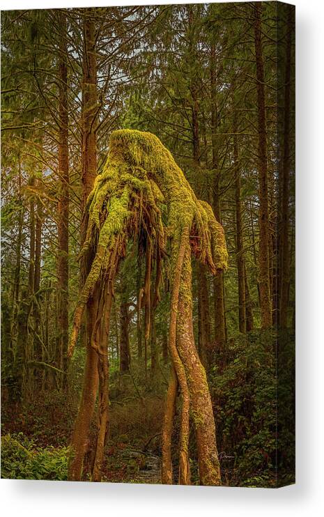 Alien Canvas Print featuring the photograph Forest Alien by Bill Posner