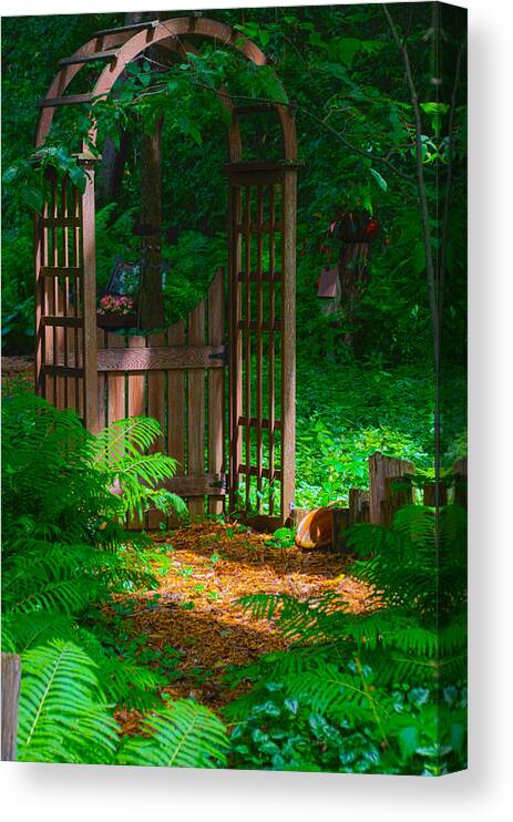 Forest Canvas Print featuring the photograph Forest Gateway by Lynn Hansen