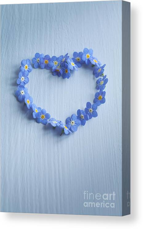 Forgetmenot Canvas Print featuring the photograph Forget Me Not Heart by Jan Bickerton