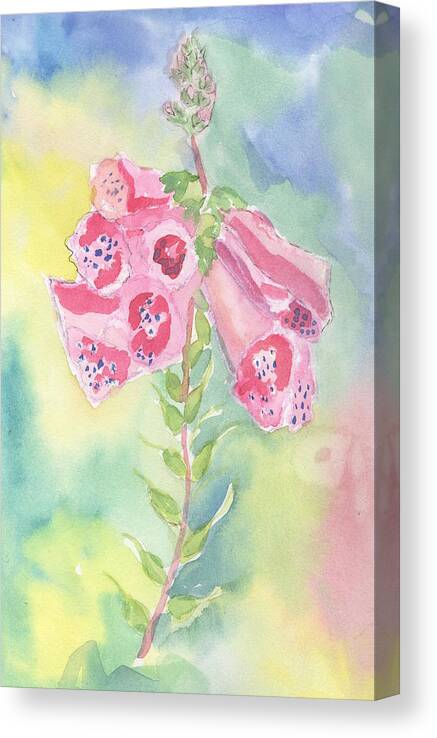 Watercolor Canvas Print featuring the painting Foxgloves by Marcy Brennan
