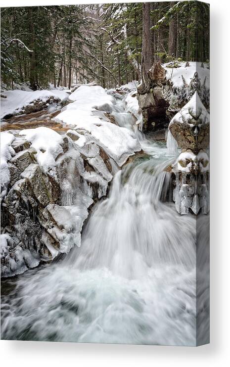 Water Falls Canvas Print featuring the photograph Freeze On The Basin Trail NH by Michael Hubley