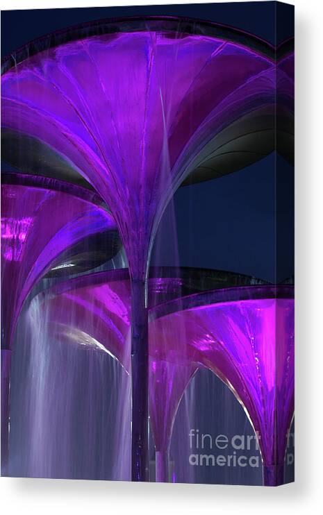 Texas Canvas Print featuring the photograph Frog Fountain at Texas Christian University by Greg Kopriva