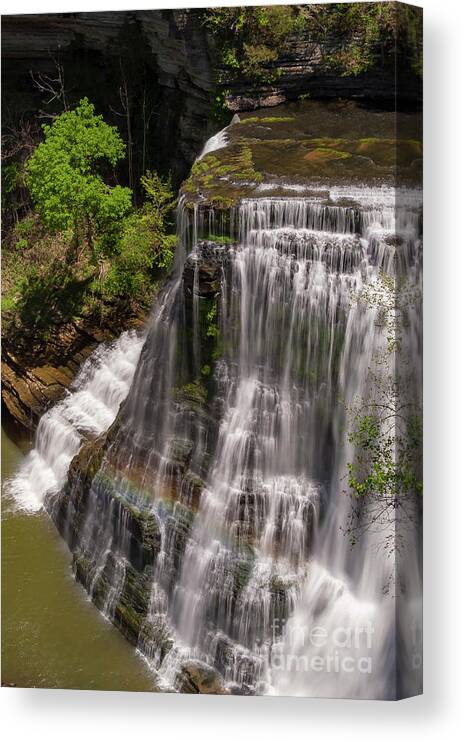 Burgess Falls State Park Canvas Print featuring the photograph From the Top of the Falls by Bob Phillips