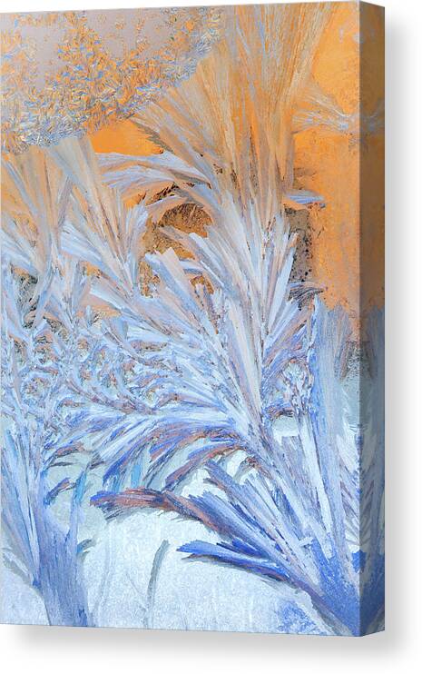 Victor Kovchin Canvas Print featuring the photograph Frost Patterns on Window by Victor Kovchin