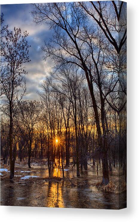 Wisconsin Canvas Print featuring the photograph Frozen Forest Floor by CA Johnson