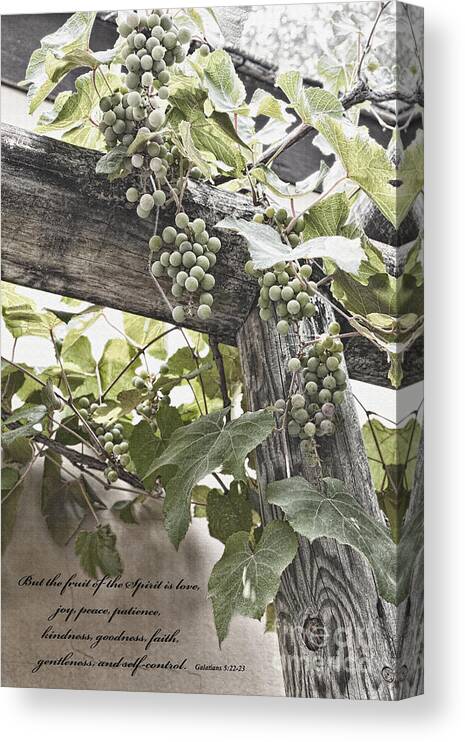 Abundance Canvas Print featuring the photograph Fruit Of The Spirit by Diane Macdonald
