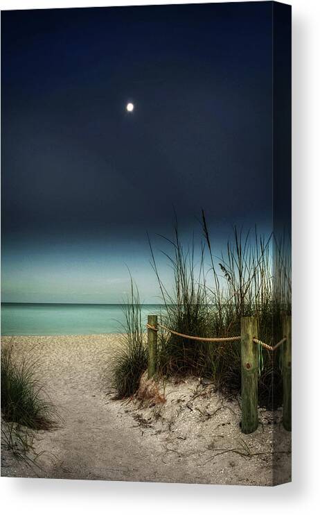 Beach Canvas Print featuring the photograph Full Moon Beach by Greg and Chrystal Mimbs