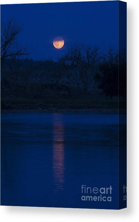 Landscape Canvas Print featuring the photograph Full Moon Over the Tongue by Shevin Childers
