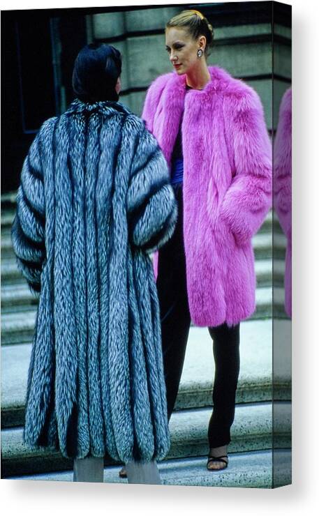 Fur Canvas Print featuring the photograph Fur Fit Pink and Silver by Douglas Hopkins