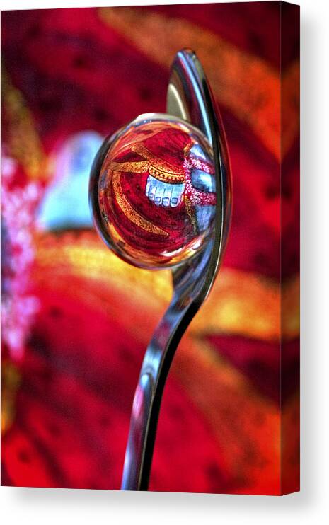 Ball Canvas Print featuring the photograph Ganesh Spoon by Skip Hunt