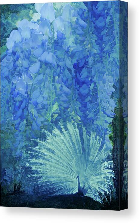 Appalachia Canvas Print featuring the photograph Garden of Blues by Debra and Dave Vanderlaan