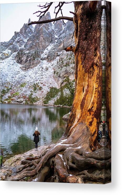 Emerald Lake Canvas Print featuring the photograph Girl at Emerald Lake by Catherine Avilez