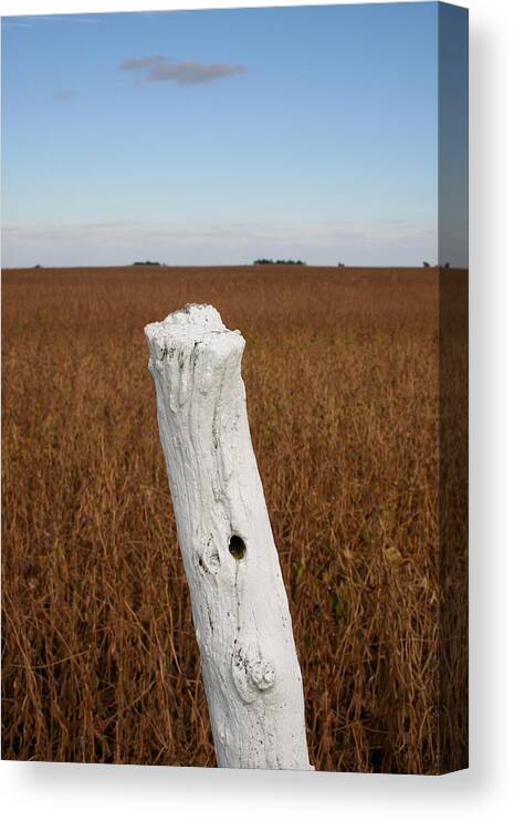 Gk Harvest Post Canvas Print featuring the photograph GK Harvest Post by Dylan Punke
