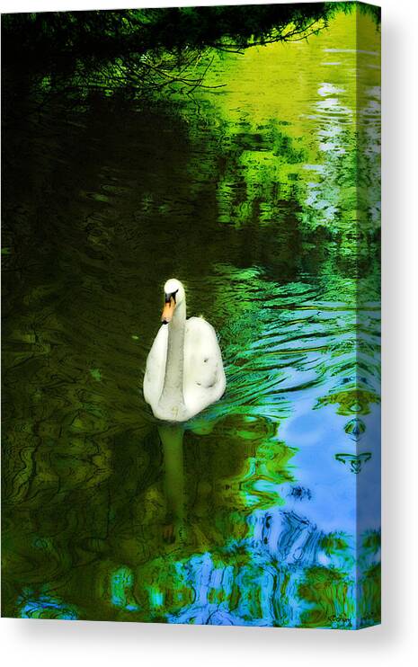 Swan Canvas Print featuring the photograph Glide by Kathy Besthorn