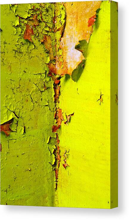 Skip Hunt Canvas Print featuring the photograph Going Green by Skip Hunt
