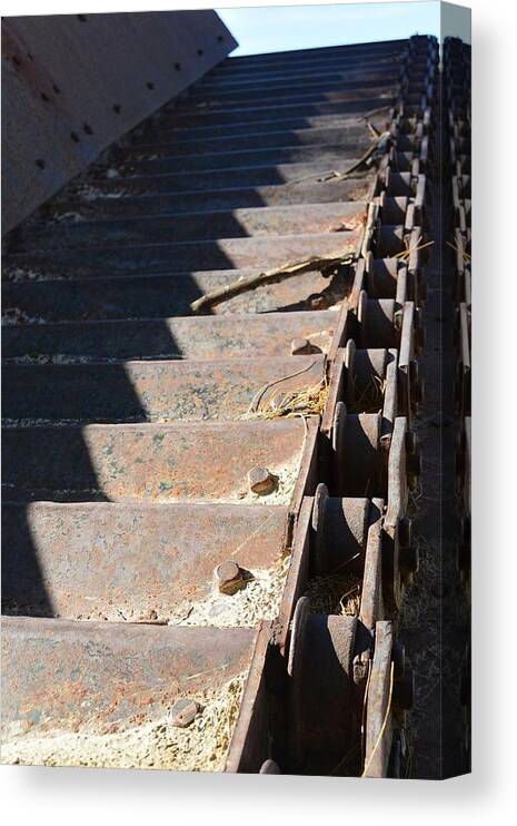 Rust Canvas Print featuring the photograph Going up by Shawnna Rae