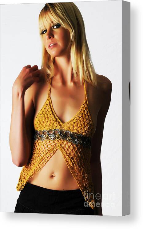 Artistic Photographs Canvas Print featuring the photograph Golden crochet by Robert WK Clark