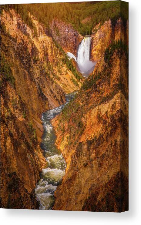 Yellowstone Canvas Print featuring the photograph Golden Falls of Yellowstone by Darren White