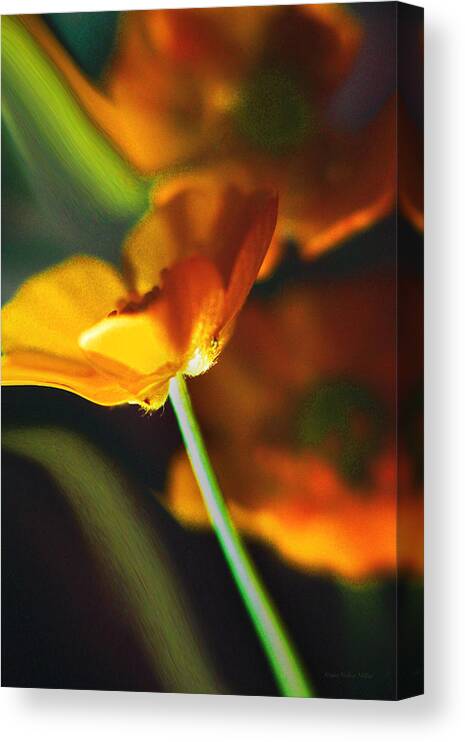 Flowers Canvas Print featuring the photograph Golden Possibilities... by Arthur Miller