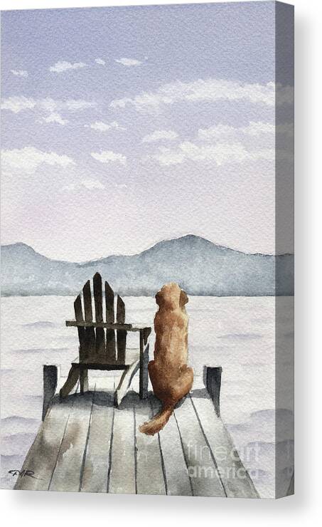 Golden Canvas Print featuring the painting Golden Retriever on the Dock by David Rogers