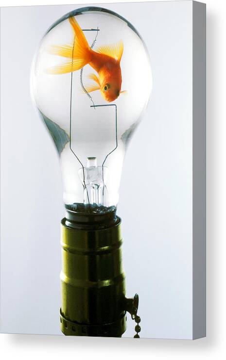 Fish Canvas Print featuring the photograph Goldfish in light bulb by Garry Gay