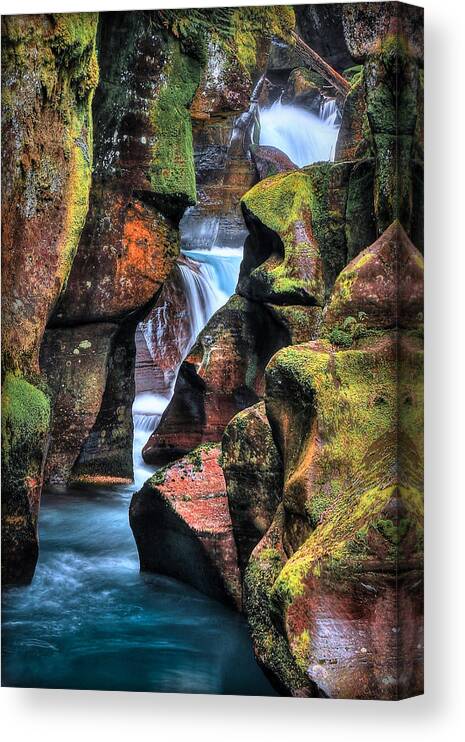Glacier National Park Canvas Print featuring the photograph Gorgeous by Ryan Smith