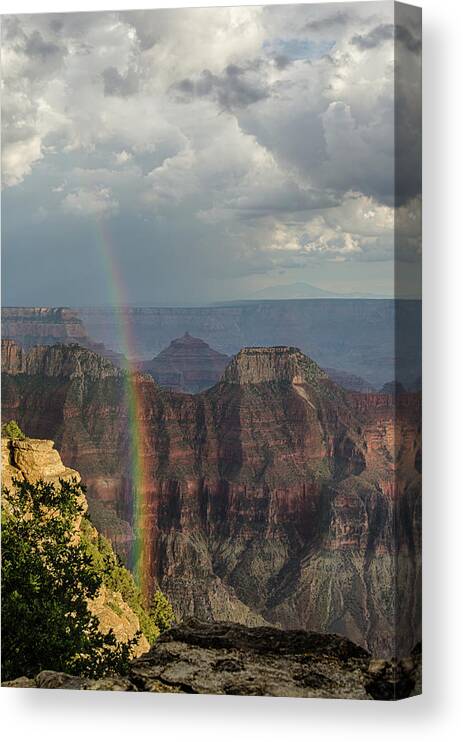 Rainbow Canvas Print featuring the photograph Grand Canyon rainbow by Gaelyn Olmsted
