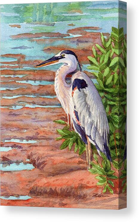 Great Blue Heron Canvas Print featuring the painting Great Blue Heron in a Marsh by Janet Zeh