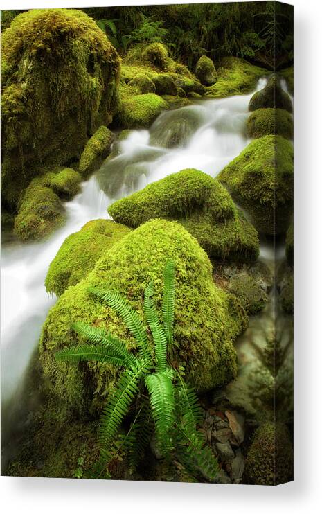 Creek Canvas Print featuring the photograph Green Blanket by Nicki Frates