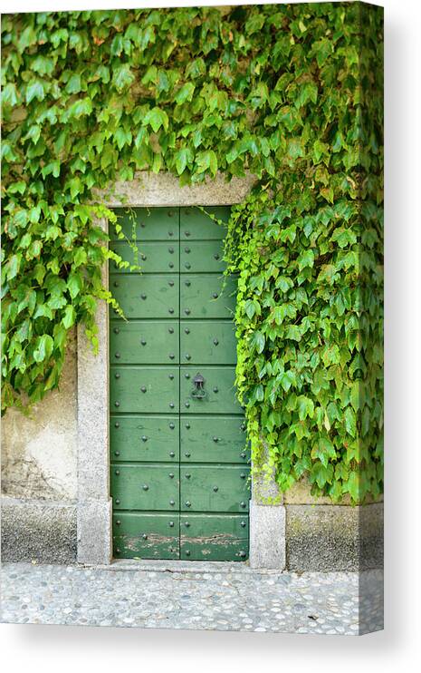 Architecture Canvas Print featuring the photograph Green door and Ivy by Oscar Gutierrez