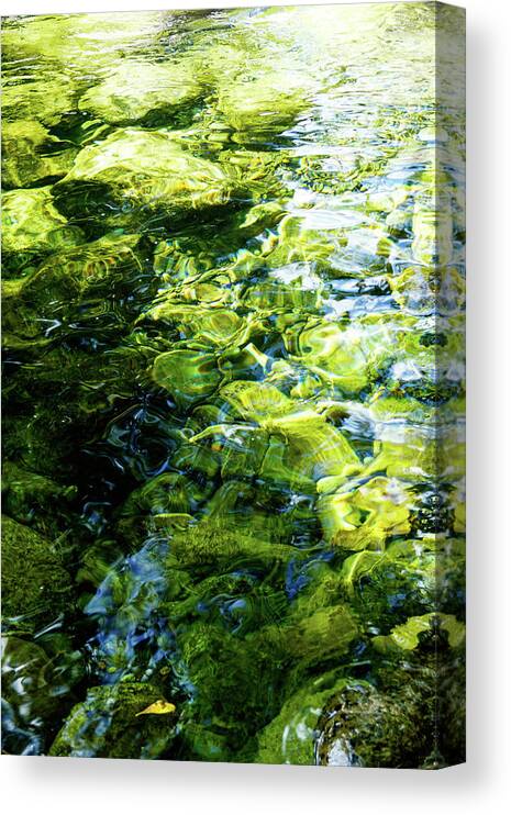 Tim Dussault Canvas Print featuring the photograph Green Reflection by Tim Dussault
