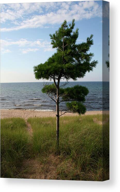 Greetings To The Beach Canvas Print featuring the photograph Greetings to the Beach by Dylan Punke