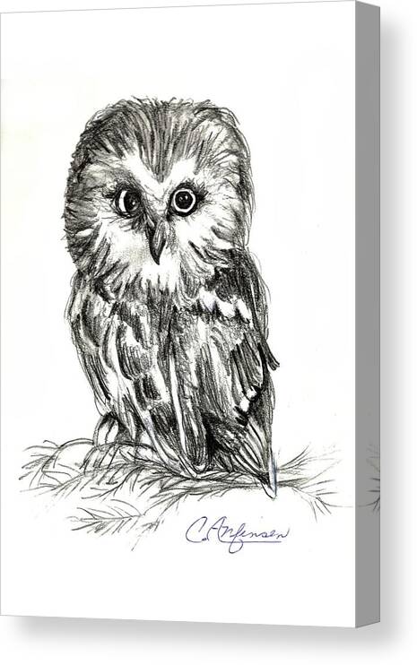 Owl Canvas Print featuring the drawing Guess Whoooo by Carol Allen Anfinsen