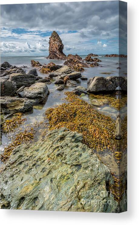 Sea Canvas Print featuring the photograph Gwenfaens Rock by Adrian Evans